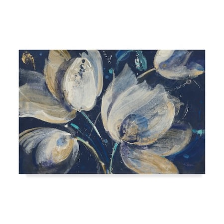 Albena Hristova 'Midnight Garden' Canvas Art,30x47